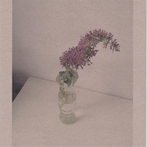 亚洲色成人网站WWW永久四虎
